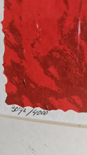 Peter Diem - Happy Cow Red and Blue kopen? Bied vanaf 70!