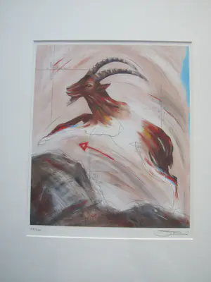 Sylvia Takken - Steenbok (Karakter, Slim, Statig) kopen? Bied vanaf 50!