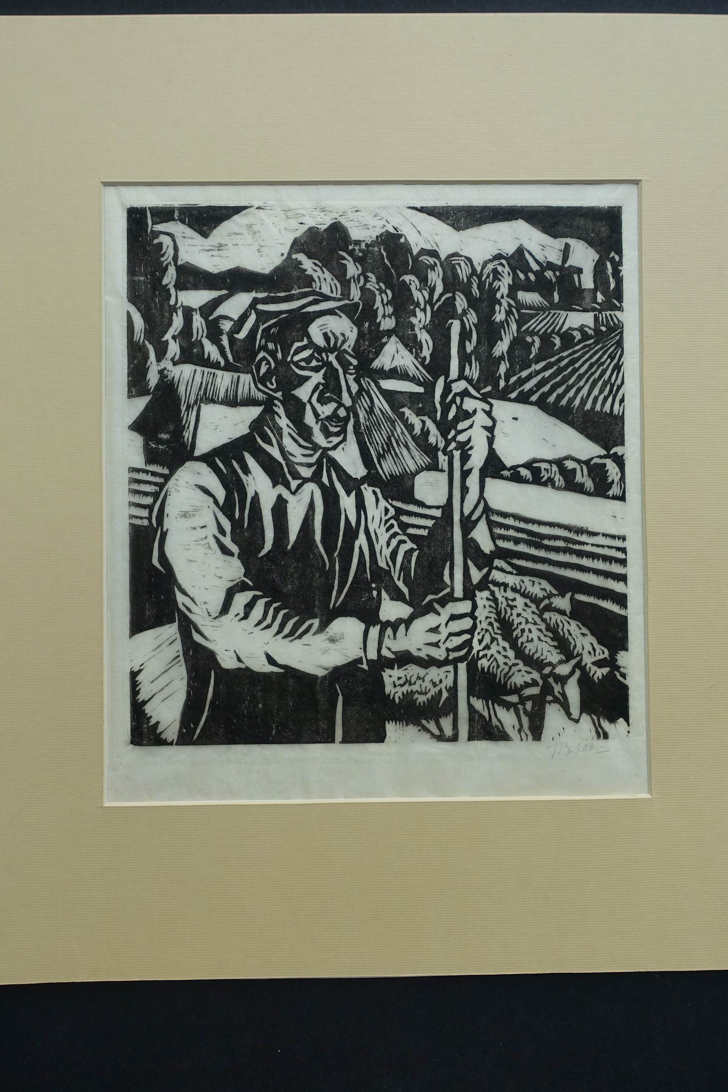 Jo Bezaan - BOERENLAND 2 kopen? Bied vanaf 70!