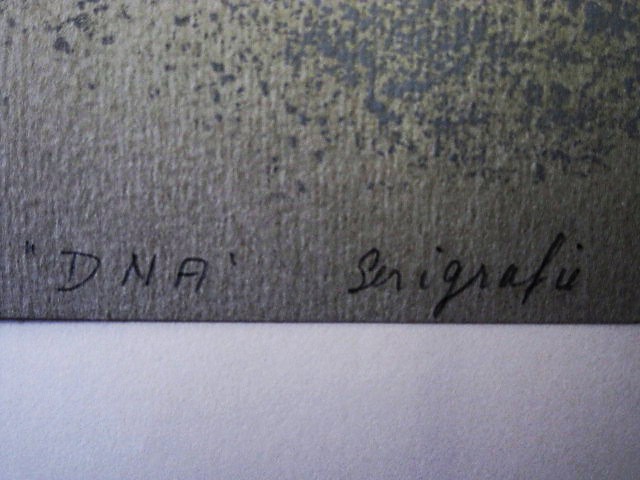 Theo van den Akker - Uniek Grafiek ! - zeer bep. oplage (25) "DNA" gesigneerd  kopen? Bied vanaf 1!