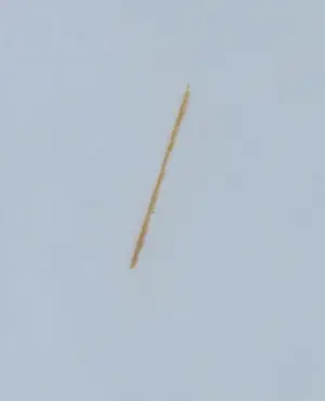 Shunyam - Zeefdruk, Daydream - Ingelijst kopen? Bied vanaf 50!