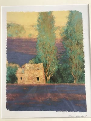 Niet of onleesbaar gesigneerd - Cypressen kopen? Bied vanaf 1!