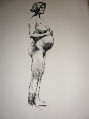 Peter Klashorst - Litho. Titel, "Pregnant" . kopen? Bied vanaf 35!