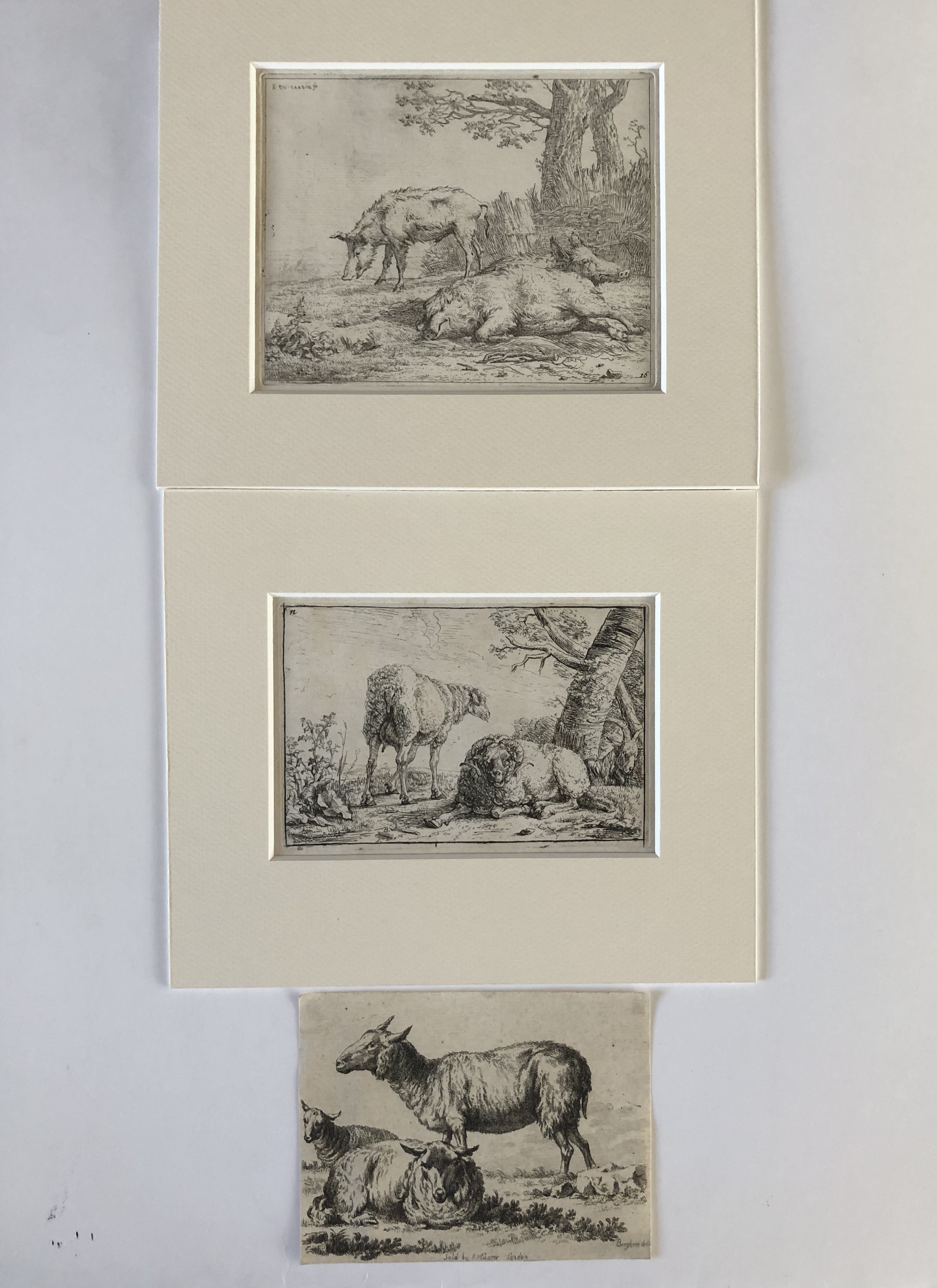 Karel Dujardin (1626-1678)