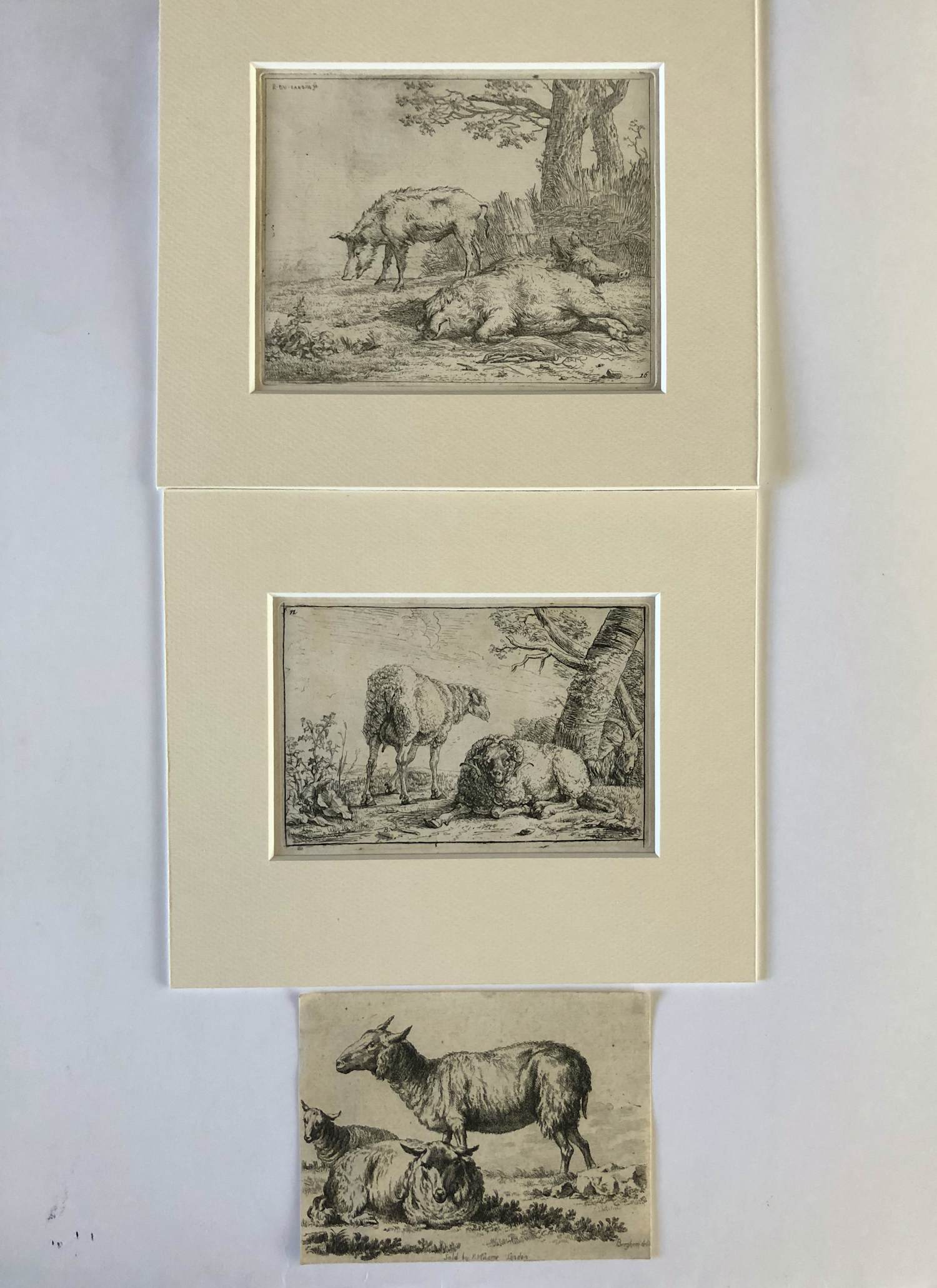 Karel Dujardin - Drie zwijnen (en nog twee etsen Berchem) kopen? Bied vanaf 30!