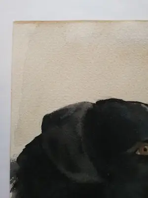 Jan van Riel - Hond. 'Polly'. 1951 kopen? Bied vanaf 69!