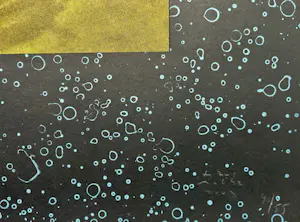 Titus Nolte - Zonder titel kopen? Bied vanaf 25!