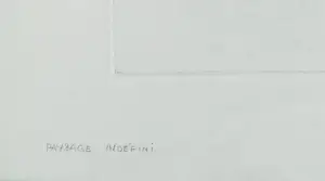 Nono Reinhold - Paysage indéfini kopen? Bied vanaf 40!