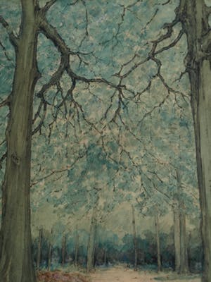 Heertje van Doornik - Aquarel, “Bos” - gesigneerd & ingelijst – ca 1920 kopen? Bied vanaf 50!