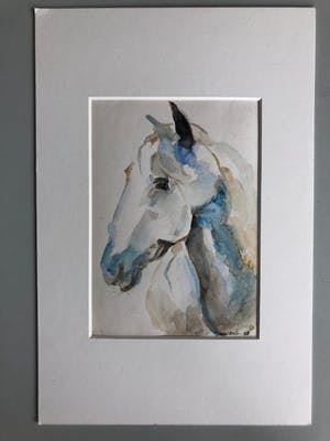 Bertus Voortman - Paard kopen? Bied vanaf 10!