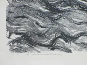 Wim Beuning - De vloeden van Phoenix - Litho kopen? Bied vanaf 50!