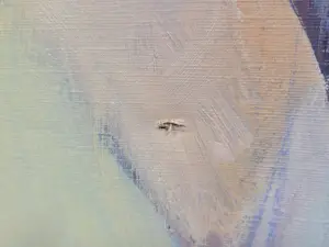 Willebrord de Winter - Zittend naakte dame kopen? Bied vanaf 20!