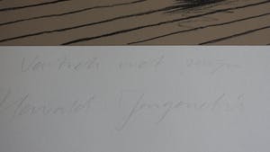 Hewald Jongenelis - Zwijn in Huiskamer kopen? Bied vanaf 49!