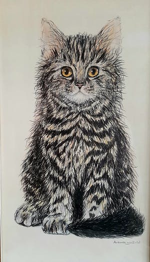 Niet of onleesbaar gesigneerd - Een kat kopen? Bied vanaf 1!