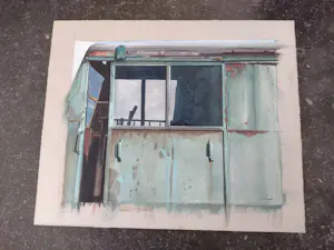 Roger Wittevrongel - kabine kopen? Bied vanaf 30!