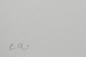 Armando - Der Baum kopen? Bied vanaf 1!