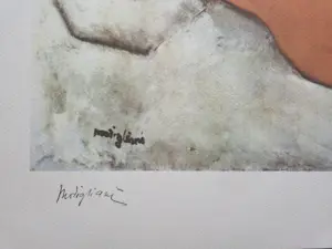 Amedeo Modigliani - Liegender Akt kopen? Bied vanaf 20!