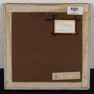 Saul Belem - C.Z. open 1 - 1975 - pen- en penseeltekening op papier kopen? Bied vanaf 10!