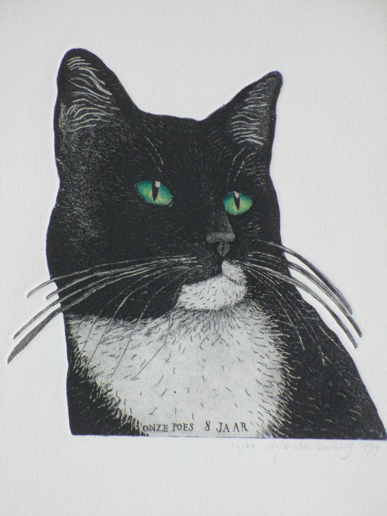 Arja van den Berg - Onze Poes 8 Jaar - Kleurets kopen? Bied vanaf 80!