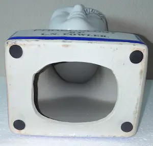 Curiosa - Phrenology hoofd van L.N.Fowler - Porselein kopen? Bied vanaf 50!