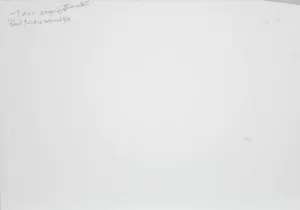 Paul Nieuwendijk - Wieler peloton in de regen kopen? Bied vanaf 70!