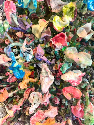 Stefan Gross - Flower Bomb Bonanza kaufen? Bieten Sie von 1800!