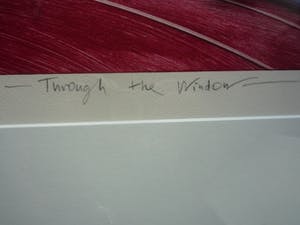 Dana Andreev - Through the window kopen? Bied vanaf 119!