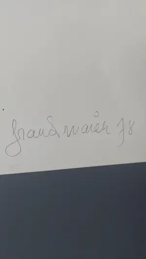 Frank Maieu - galerij De Zwarte Panter, Antwerpen kopen? Bied vanaf 25!