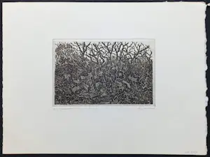 Willem Minderman - Planten, ets kopen? Bied vanaf 45!