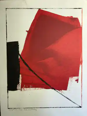 Hugo Duchateau - 172/250 vendu pour 60€ !