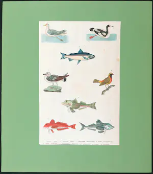 Harrison & Co. - Lot van twee handgekleurde gravures, Vogels, vissen en zoogdieren kopen? Bied vanaf 1!