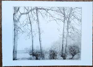 Charles Donker - Lente, struiken voor hoge bomen (Balkende buizerden) verkocht voor € 250!
