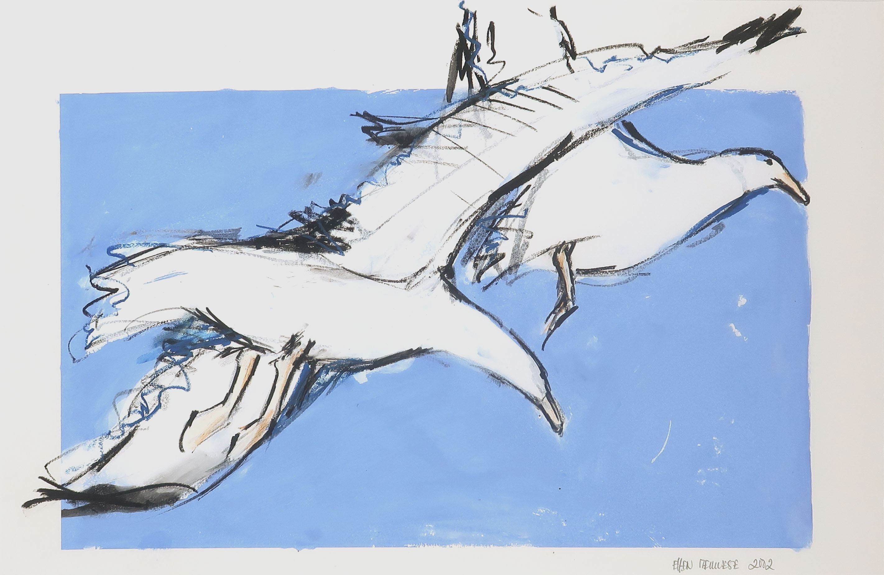 Ellen Meuwese - Gemengde techniek op papier, o.a. gouache en krijt, Meeuwen - Ingelijst kopen? Bied vanaf 80!