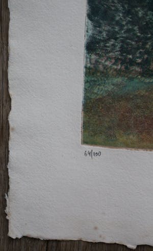 Kees Verwey - Ets/aquatint - bloemstilleven kopen? Bied vanaf 125!