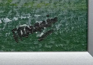 Franklin Meijer - Waddenzee - Bruine Vloot kopen? Bied vanaf 59!