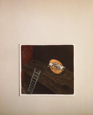Frank Porcelijn - One step kopen? Bied vanaf 25!