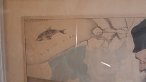 Maurice Langaskens - Le Géographe kopen? Bied vanaf 100!