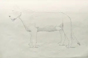 Alida van Houten - Tekenmap (24 tekeningen) kopen? Bied vanaf 450!