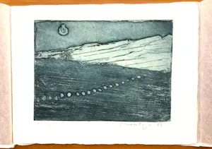 Jan Montyn - Twee kleurenetsen - 1977 - elk genummerd 1/50 - Zeer goede staat kopen? Bied vanaf 60!