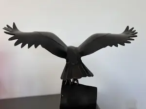 Brons (Onbekend) - Time flies kopen? Bied vanaf 149!