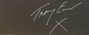 Tracey Emin - The Kiss Was Beautiful kopen? Bied vanaf 1450!