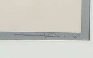 Dirk Huizer - Zeefdruk, Drie kubi - Ingelijst kopen? Bied vanaf 10!