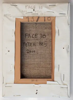 Peter Heij - Face 30 kopen? Bied vanaf 55!