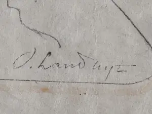 Octave Landuyt - paarden grootbrengen kopen? Bied vanaf 150!