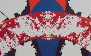 Ineke Calis - Prachtige, kleurrijke zeefdruk. kopen? Bied vanaf 75!