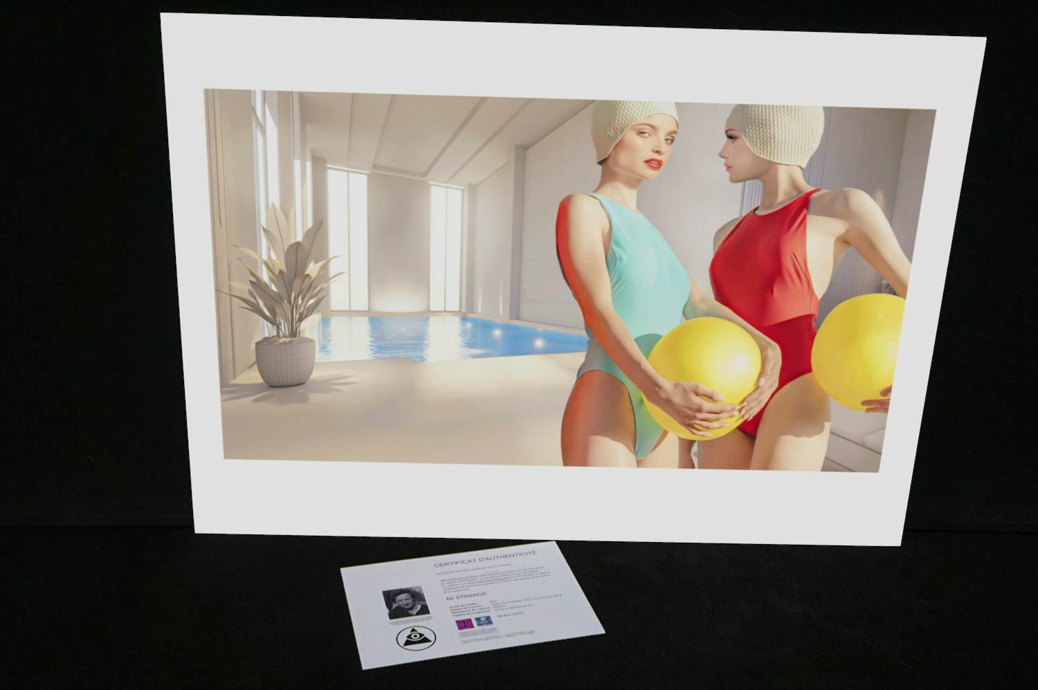 Mr. Strange - Zwembad V verkocht voor € 80!