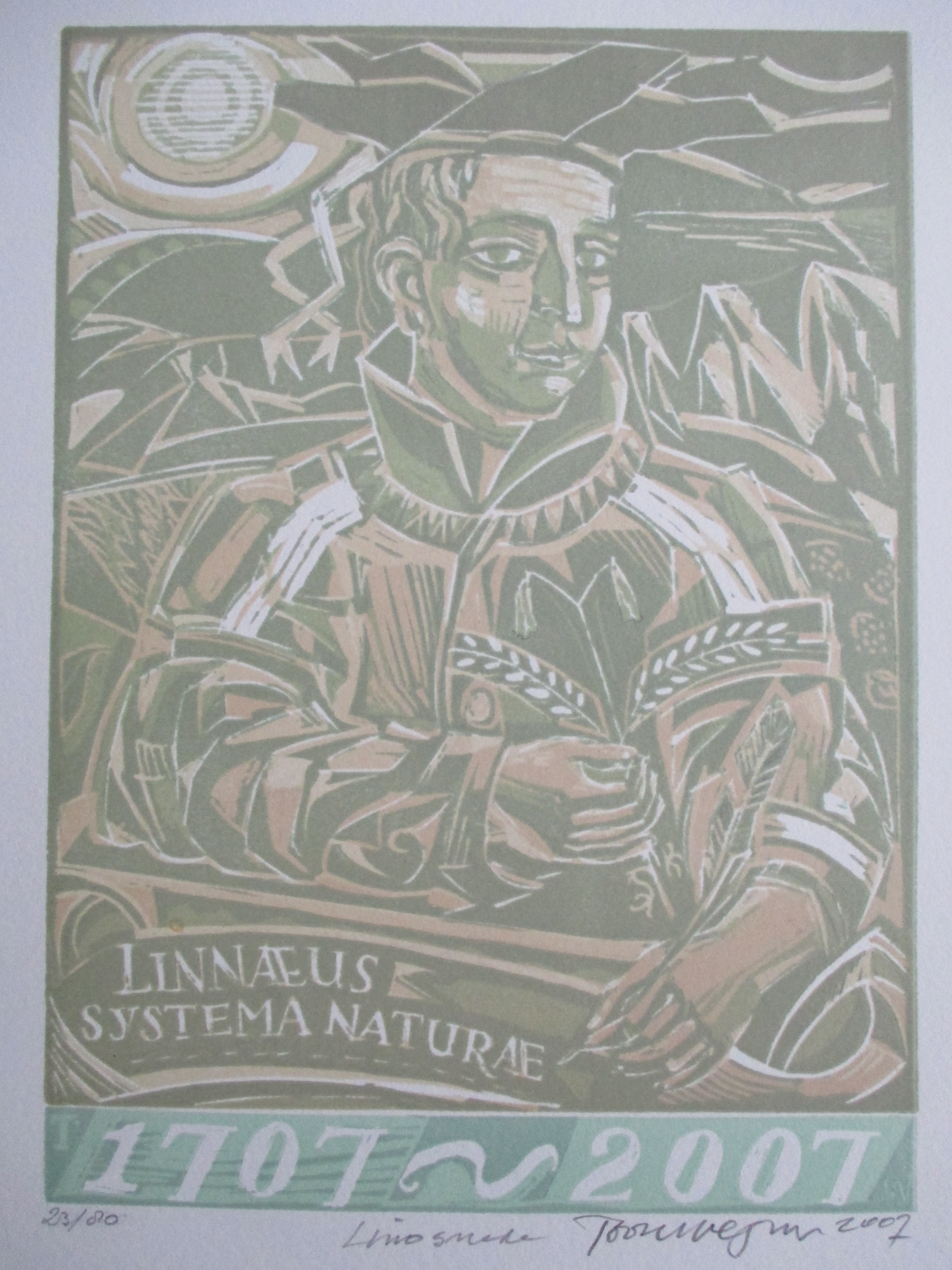 Toon Wegner - Lino Linnaeus Systema Naturae kopen? Bied vanaf 15!