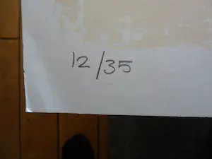 Bettina Lopetro - Zeefdruk, titel. Snake kopen? Bied vanaf 35!