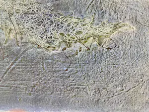 Eric Hirdes - zonder titel kopen? Bied vanaf 300!