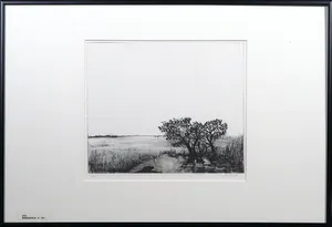 Rutger-Jan Bredewold - Ets, Landschap - Ingelijst kopen? Bied vanaf 1!